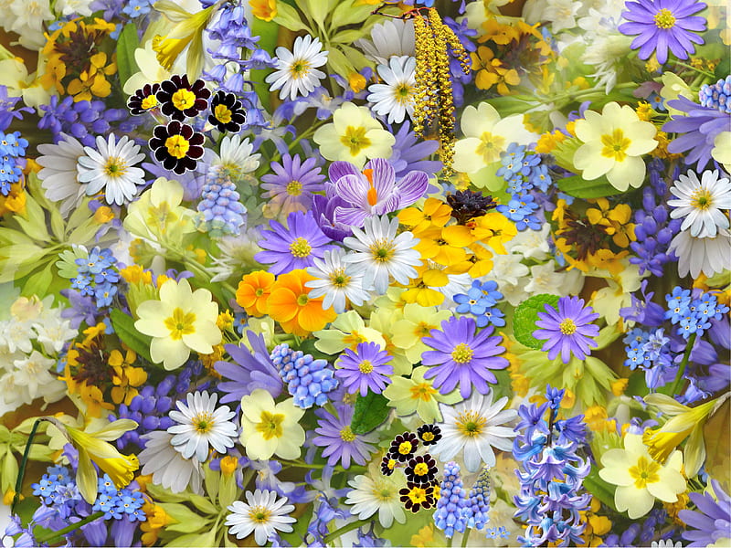 Flower bed